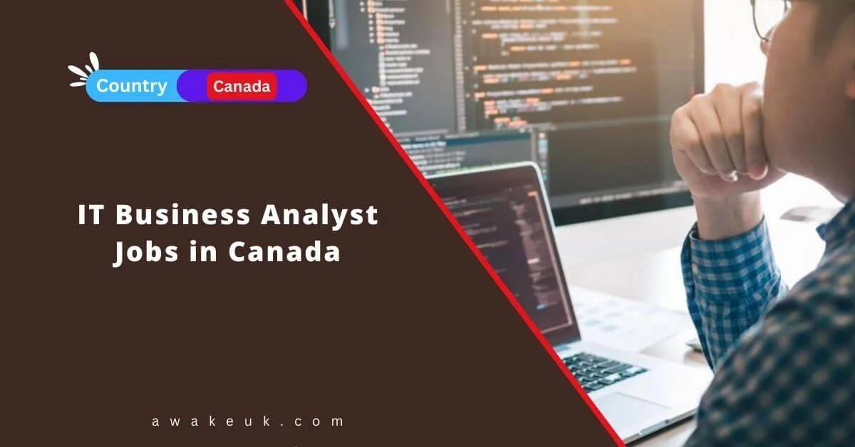 IT Business Analyst Jobs In Canada 2024 Visa Sponsorship   IT Business Analyst Jobs In Canada.webp