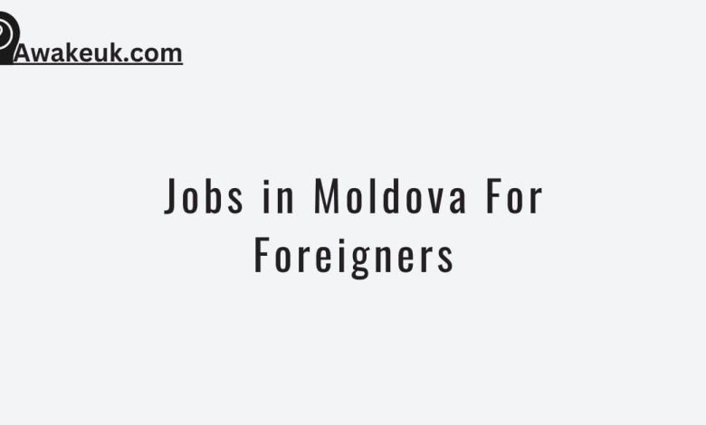 Jobs in Moldova For Foreigners