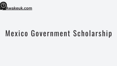 Mexico Government Scholarship