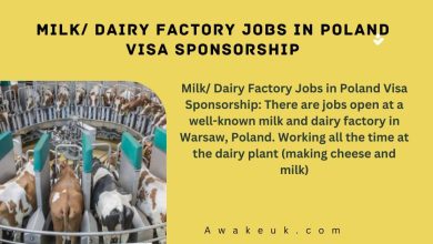 Milk/ Dairy Factory Jobs in Poland