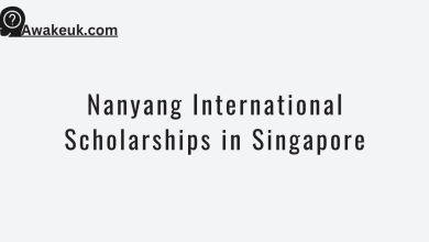 Nanyang International Scholarships in Singapore