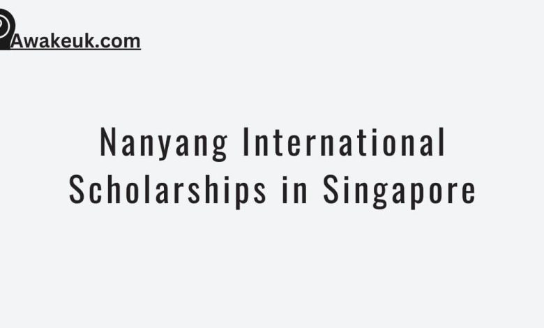 Nanyang International Scholarships in Singapore