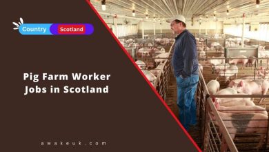 Pig Farm Worker Jobs in Scotland