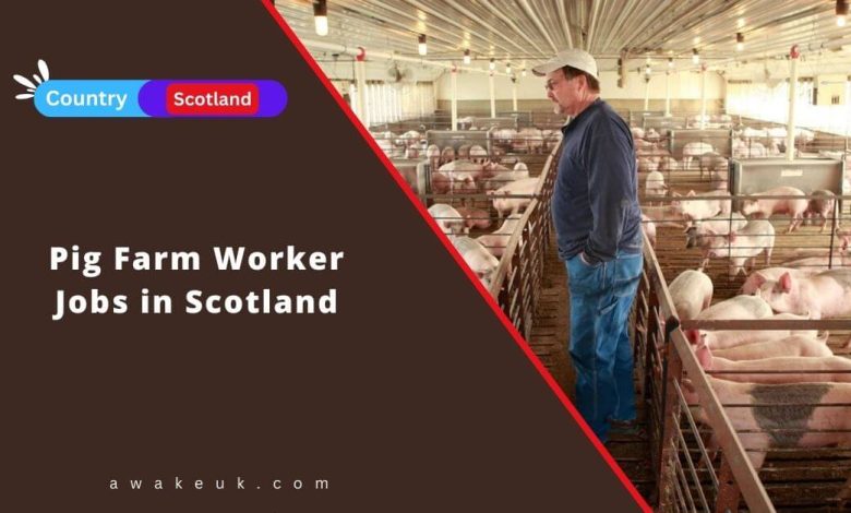 Pig Farm Worker Jobs in Scotland