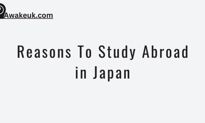 Reasons To Study Abroad in Japan