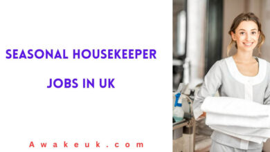 Seasonal Housekeeper Jobs in UK