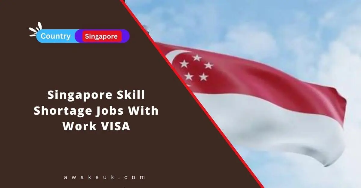 Singapore Skill Shortage Jobs With Work VISA 2024   Singapore Skill Shortage Jobs With Work VISA.webp