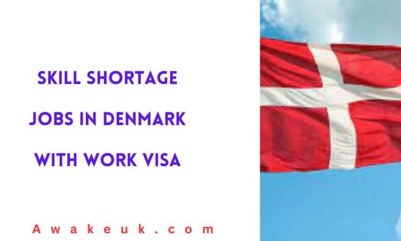 Skill Shortage Jobs in Denmark With Work Visa