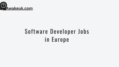 Software Developer Jobs in Europe