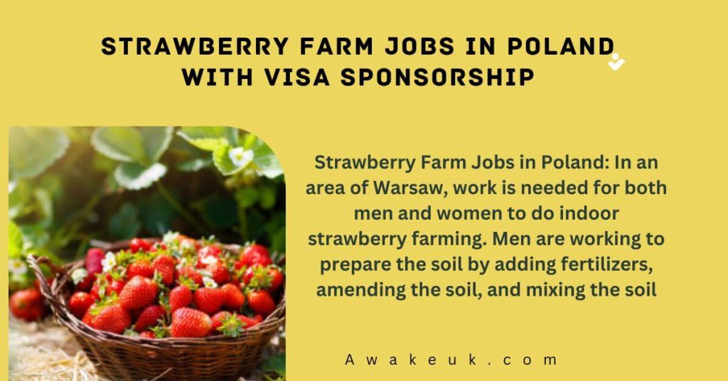 Strawberry Farm Jobs in Poland with Visa Sponsorship