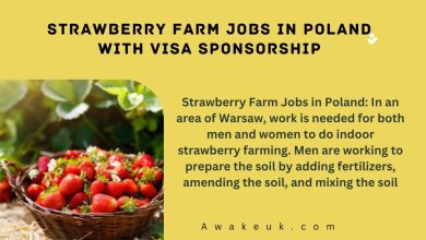 Strawberry Farm Jobs in Poland with Visa Sponsorship