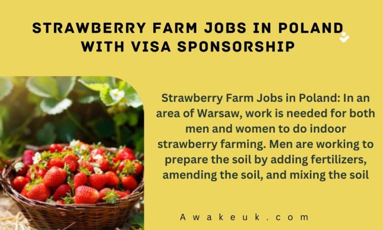Strawberry Farm Jobs in Poland with Visa Sponsorship