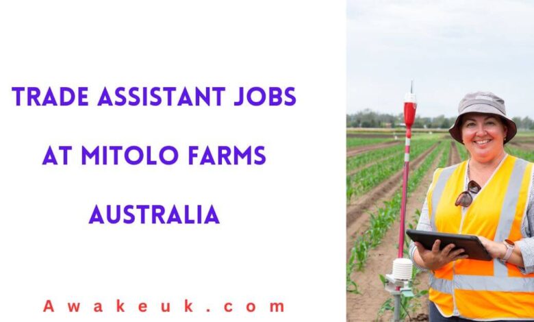 Trade Assistant Jobs at Mitolo Farms Australia