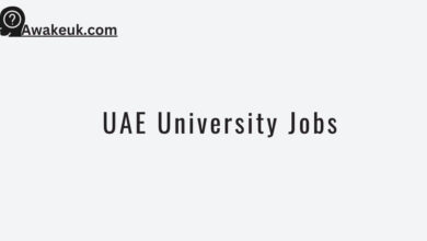 UAE University Jobs