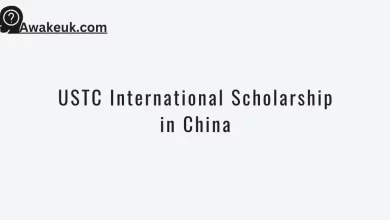 USTC International Scholarship in China