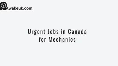 Urgent Jobs in Canada for Mechanics