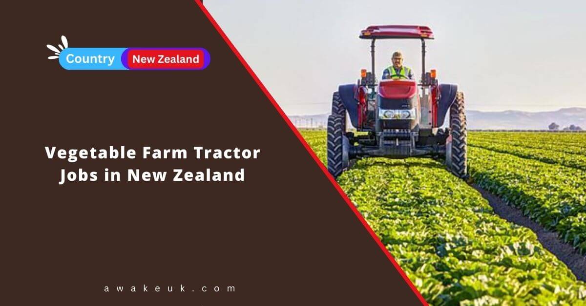 vegetable farm worker jobs in new zealand no experience