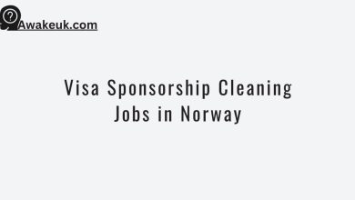 Visa Sponsorship Cleaning Jobs in Norway