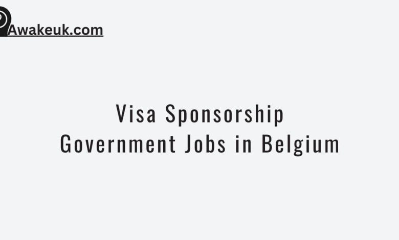 Visa Sponsorship Government Jobs in Belgium