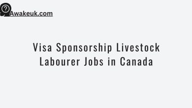 Visa Sponsorship Livestock Labourer Jobs in Canada