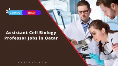 Assistant Cell Biology Professor Jobs in Qatar