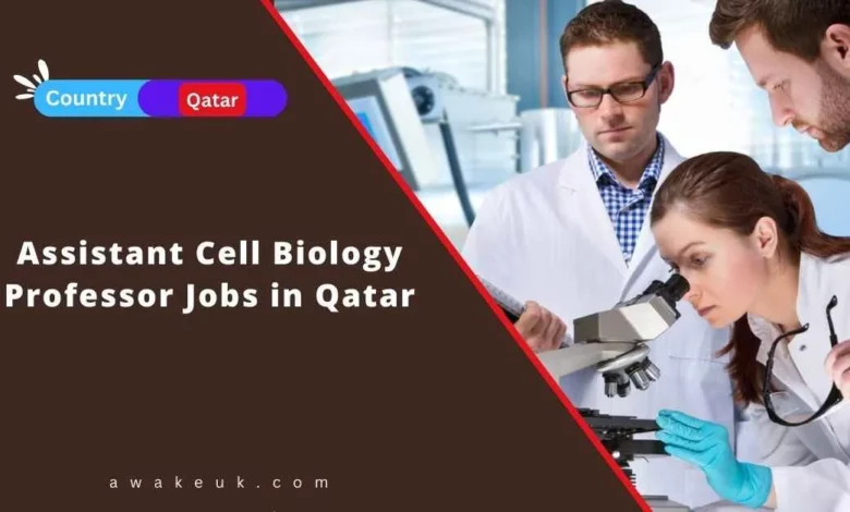 Assistant Cell Biology Professor Jobs in Qatar
