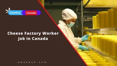 Cheese Factory Worker Job in Canada