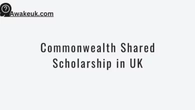 Commonwealth Shared Scholarship in UK