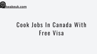 Cook Jobs In Canada With Free Visa