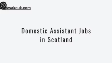 Domestic Assistant Jobs in Scotland