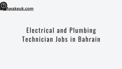 Electrical and Plumbing Technician Jobs in Bahrain