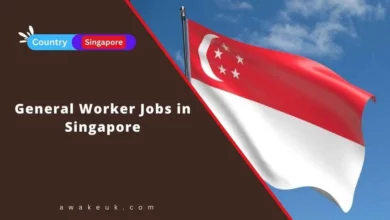 General Worker Jobs in Singapore