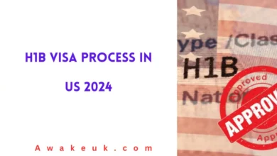 H1B Visa Process In US