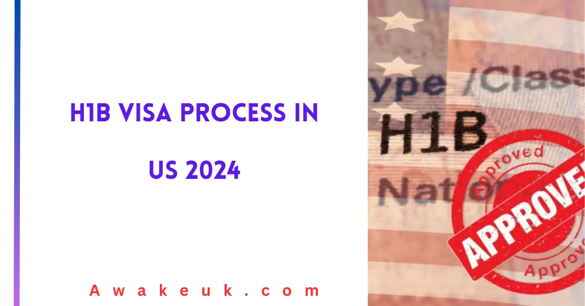 H1B Visa Process In US 2024 Extreme Guide