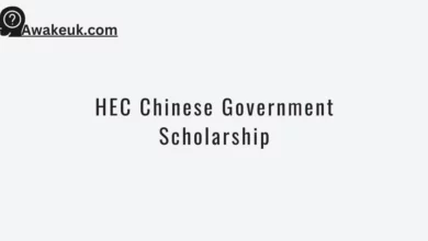 HEC Chinese Government Scholarship