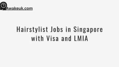 Hairstylist Jobs in Singapore with Visa and LMIA