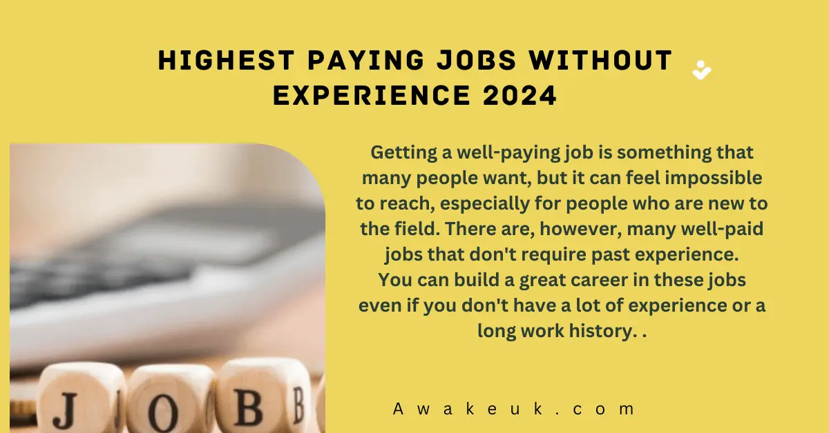 Highest Paying Jobs Without Experience 2024