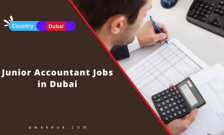 Junior Accountant Jobs in Dubai