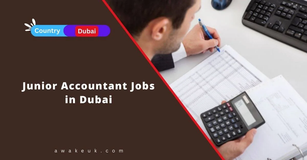 Junior Accountant Jobs In Dubai 2024 - Apply Now