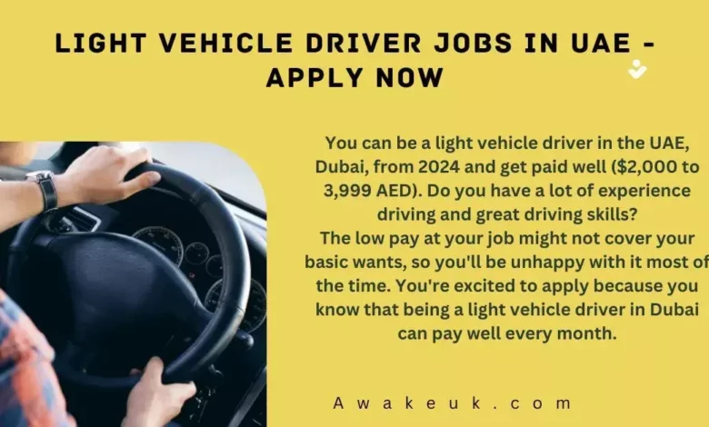 Light Vehicle Driver Jobs in UAE