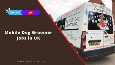 Mobile Dog Groomer Jobs in UK