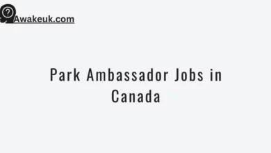 Park Ambassador Jobs in Canada