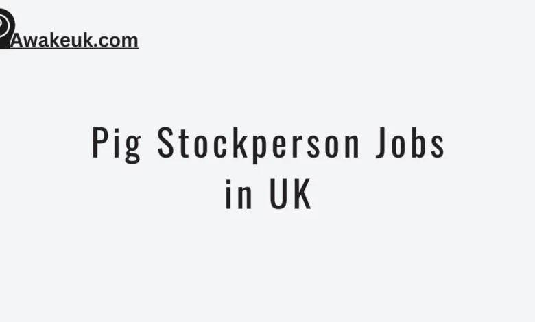 Pig Stockperson Jobs in UK