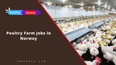 Poultry Farm Jobs in Norway