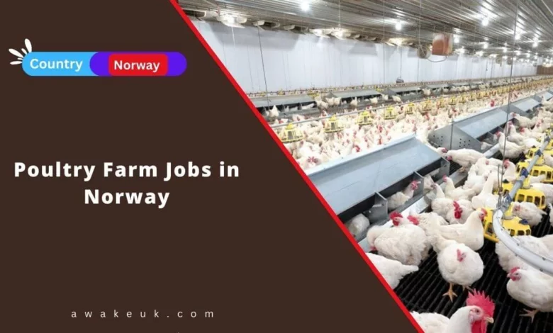 Poultry Farm Jobs in Norway