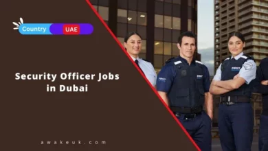 Security Officer Jobs in Dubai