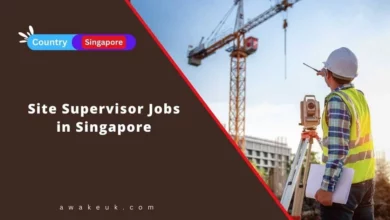 Site Supervisor Jobs in Singapore