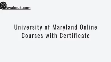 University of Maryland Online Courses with Certificate