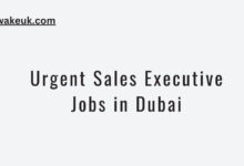 Urgent Sales Executive Jobs in Dubai