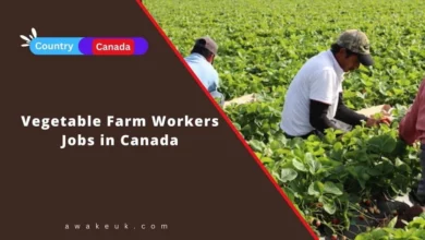 Vegetable Farm Workers Jobs in Canada